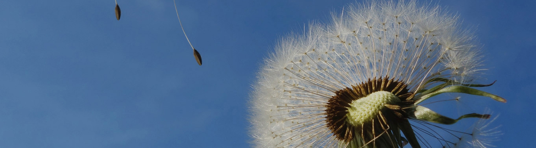 �ڴ����ݹ���-�ڴ�����APP����